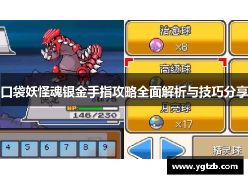 口袋妖怪魂银金手指攻略全面解析与技巧分享
